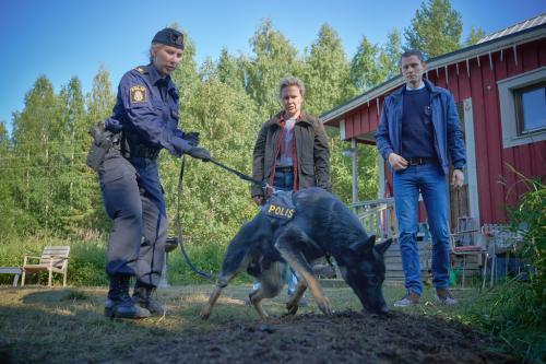 Wolfssommer  Blutige Spurenr  ZDF/ TV4 Robert Eldrim