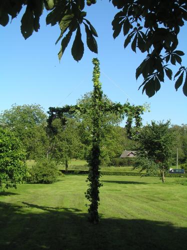 Mittsommer auf Billstrmska folkhgskolan  Wolfgang Sander 2009