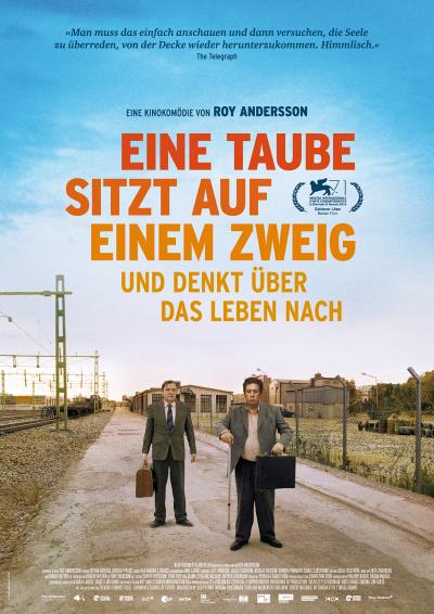 Eine Taube sitzt auf einem Zweig und denkt ber das Leben nach  Neue Visionen Filmverleih