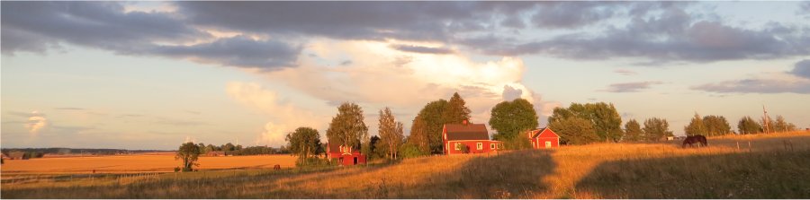 Sdlich von Vadstena,  2014 Wolfgang Sander